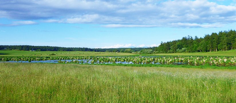 Lopez & San Juan Islands – 2014 May
