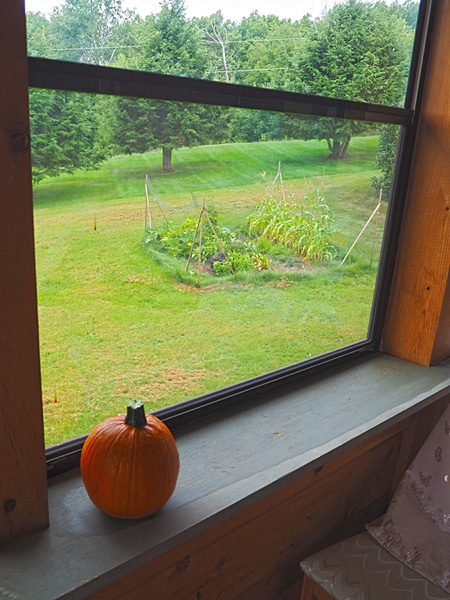 First Pumpkin