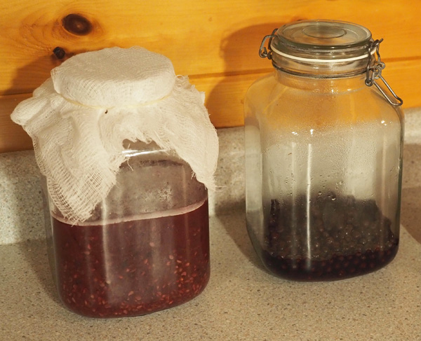 Wild Grape Vinegar & Wine
